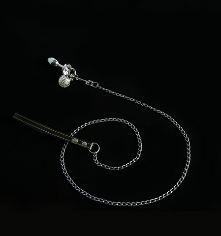 Stainless Steel BDSM Slave Collar With Leash